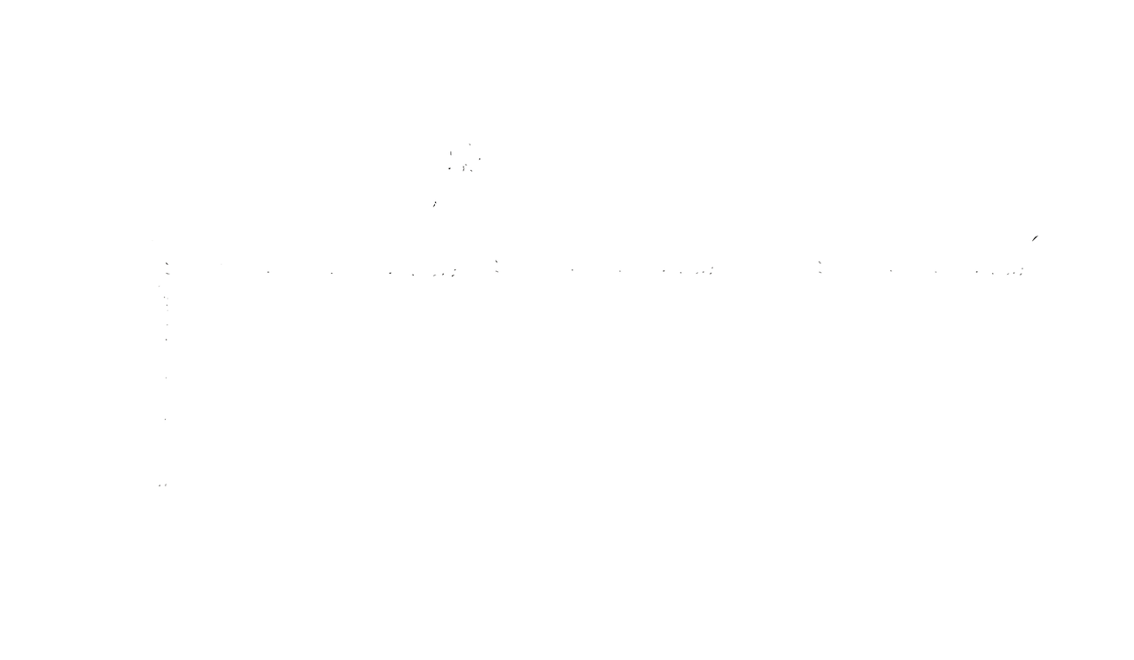 10.12.2020-LOGO weiss